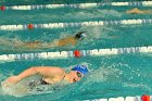 Swimming vs Bentley  Wheaton College Swimming & Diving vs Bentley College. - Photo by Keith Nordstrom : Wheaton, Swimming & Diving